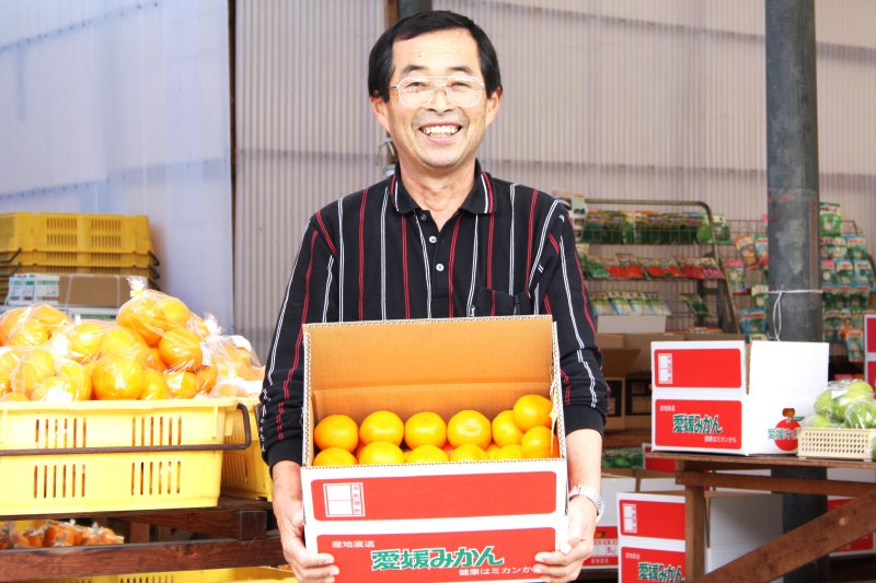 生産者がみかん狩りのコツやポイントなどを親切にアドバイスしてくれるので、誰でもみかん狩りのプロになれる。