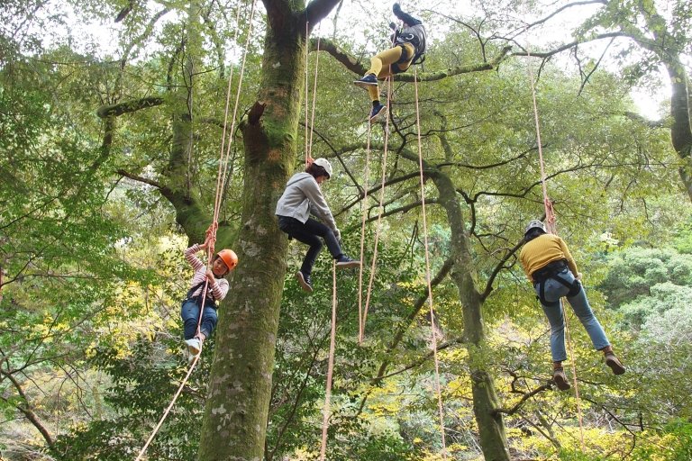 割り当てる 制約 本 綱 登り できる 場所 Resonetmall Jp