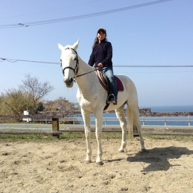 海・ドキドキ乗馬体験