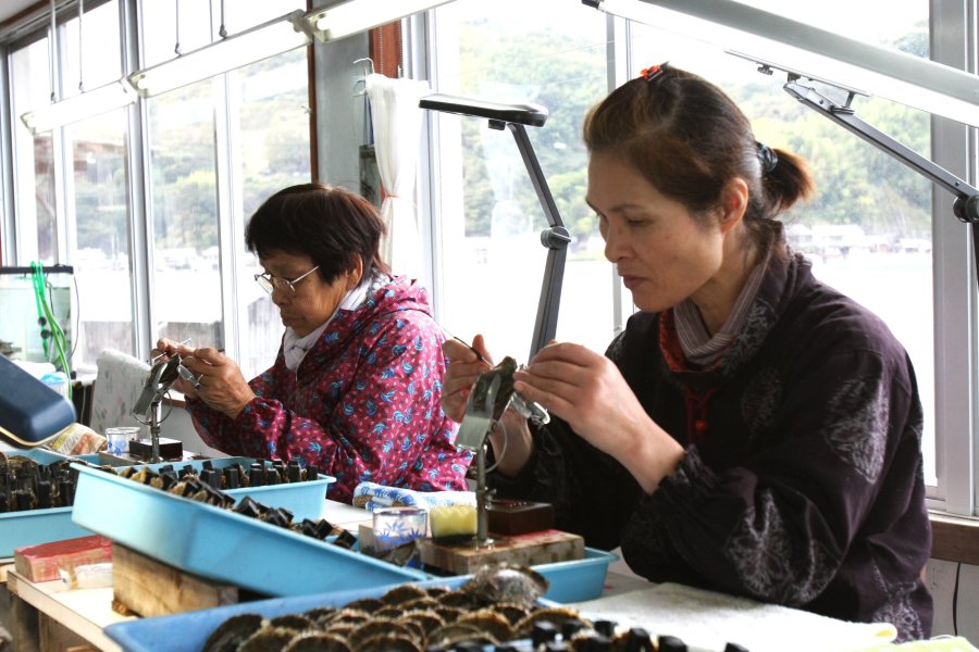 予約をすれば真珠の核入れ体験もでき、真珠養殖の作業風景の見学ができる。