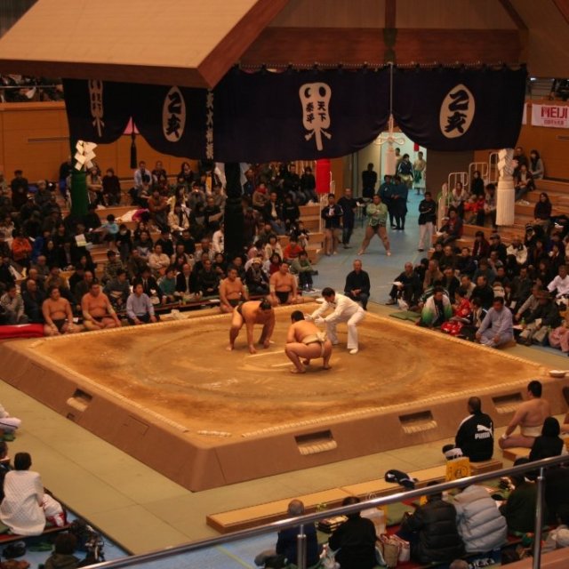 第172回野村乙亥大相撲