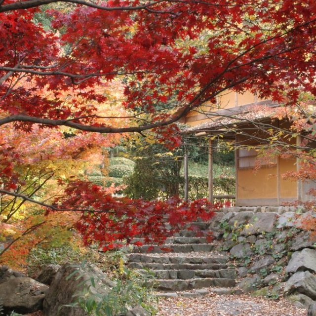 秋のいやしの南楽園