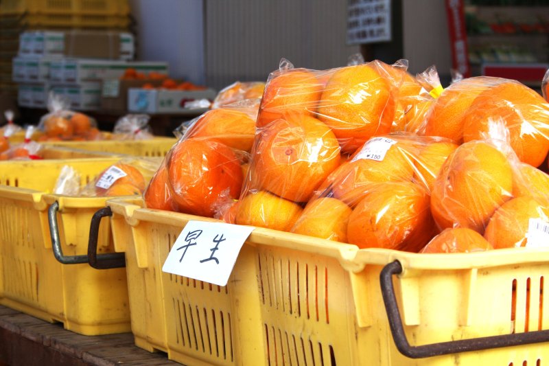 店頭では、みかんの試食販売を行っており、品数の多さは柑橘類の生産が盛んな吉田町ならでは。