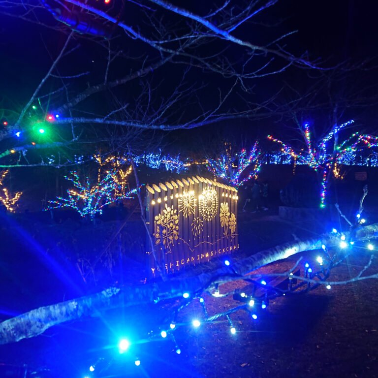 中山池自然公園イルミネーション