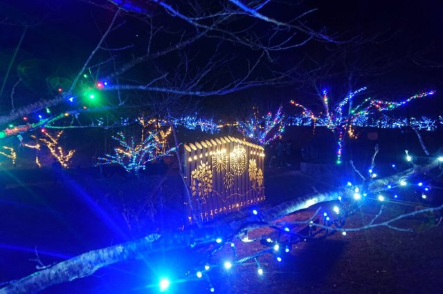 【2025】中山池自然公園イルミネーション