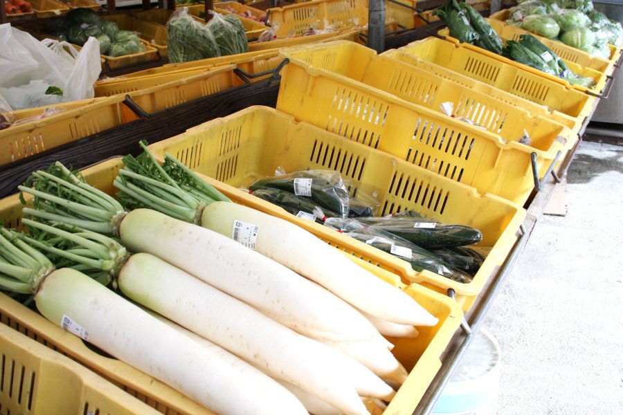 毎朝生産者が持ってくる新鮮な野菜がずらりと並び、安価な値段で購入できることが魅力の一つとなっている。