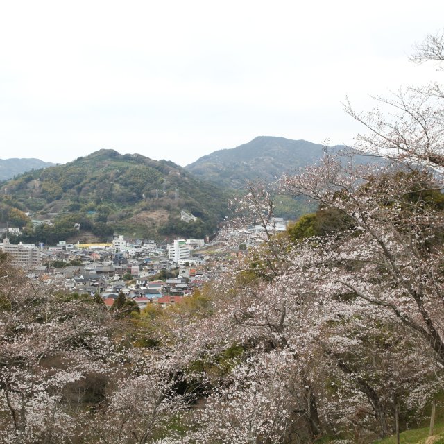 丸山公園
