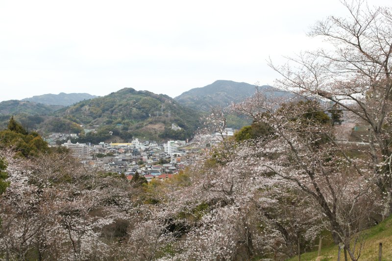 園内には桜や梅、ツツジなど四季折々に違う花々が斜面に咲き誇り目を楽しませてくれる。