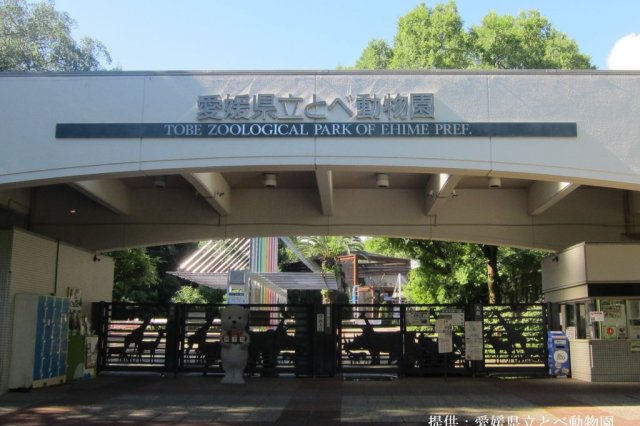 とべ動物園の日