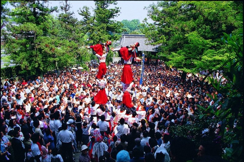 人の上に人が乗り、三継ぎ四継ぎとなっていく様は迫力満点。