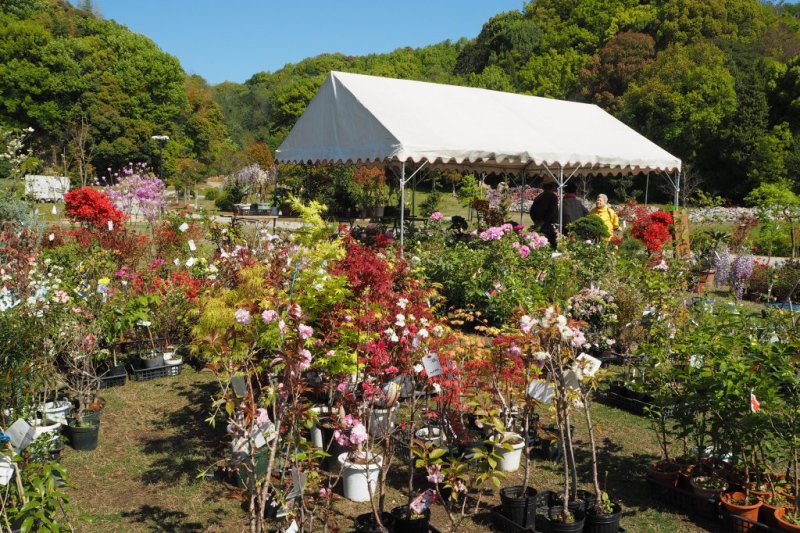 花木などの即売会を行っています。