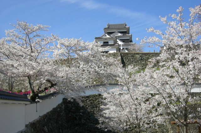 観光さくらまつり