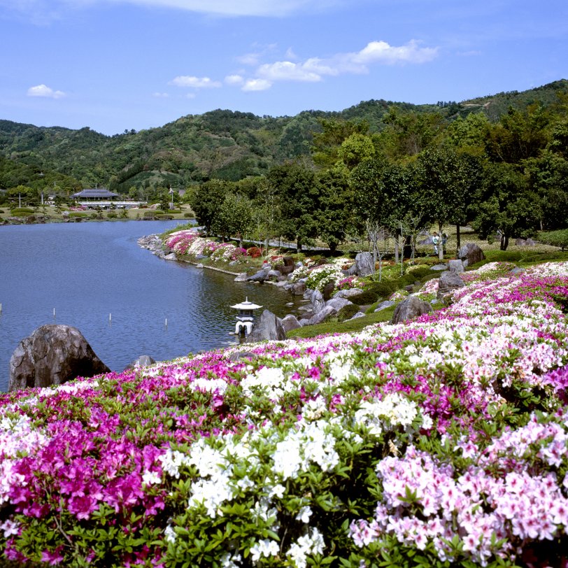 【2026】南楽園つつじまつり