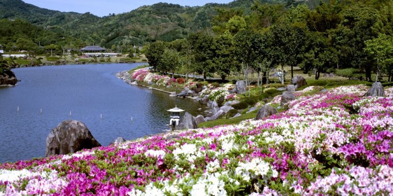 南楽園つつじまつり