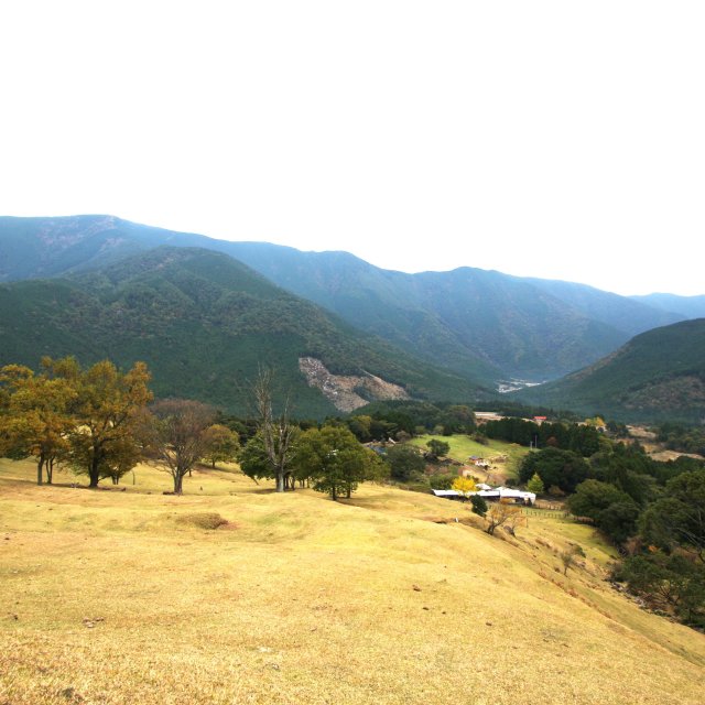 山本牧場