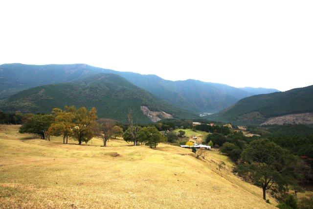 山本牧場