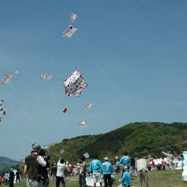 いかざき大凧合戦