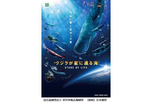 【2025】愛媛県総合科学博物館　プラネタリウム番組「クジラが星に還る海」