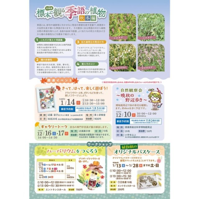 愛媛県総合科学博物館　企画展「標本で観る季語の植物　秋冬編」関連イベント「ギャラリートーク」