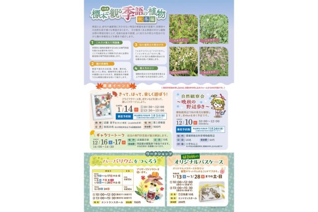 愛媛県総合科学博物館　企画展「標本で観る季語の植物　秋冬編」関連イベント「ギャラリートーク」