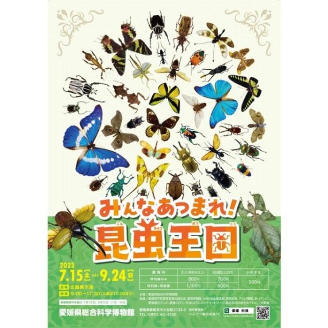 愛媛県総合科学博物館特別展「みんなあつまれ！昆虫王国」