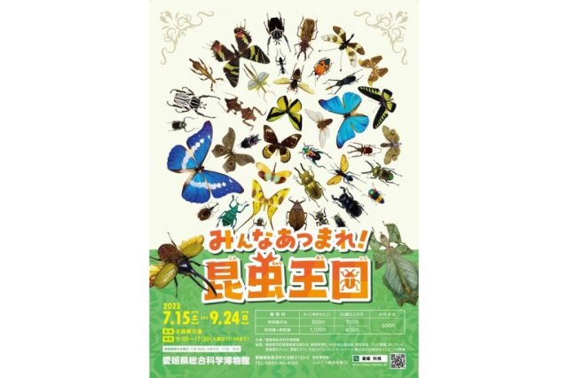 愛媛県総合科学博物館特別展「みんなあつまれ！昆虫王国」