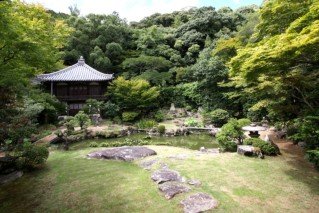 本堂の縁側から見える奥庭も綺麗に清掃されており、静寂に包まれた雰囲気と四季の移ろいなどを堪能することができる。