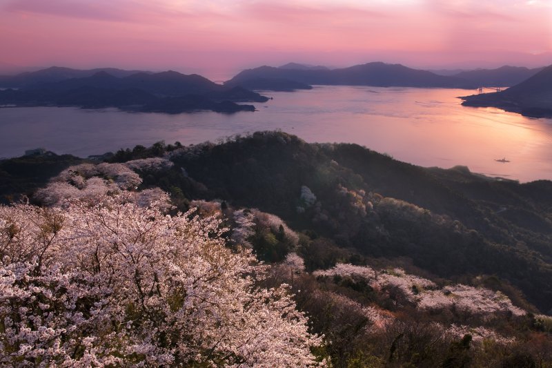 積善山夕日