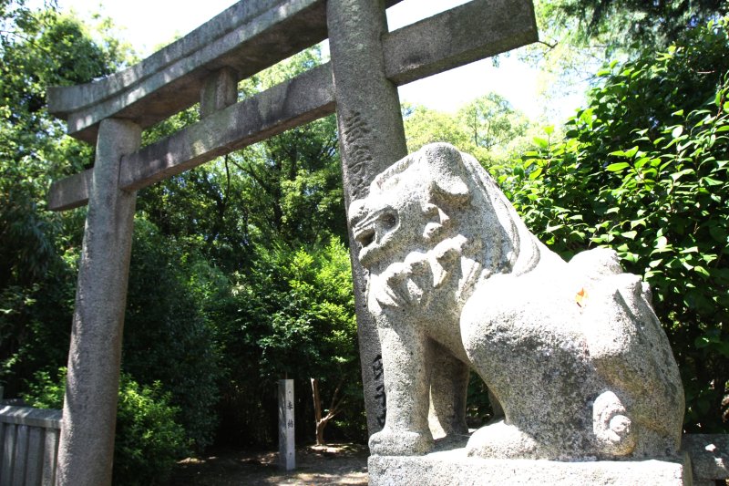 鳥居の手前に建つ狛犬が、今も昔も魚島の人々の暮らしを見守っている。