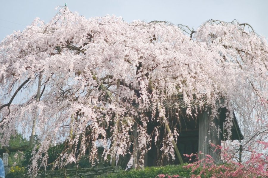 内子町石畳東