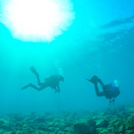 体験ダイビング　～海を通じて素敵な休日を～