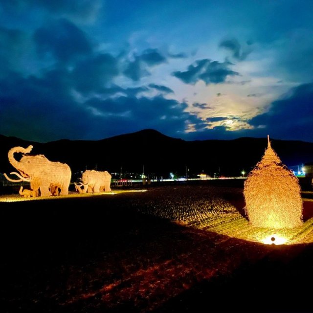 【2025】わらマンモスライトアップ・わらぐろイルミネーション