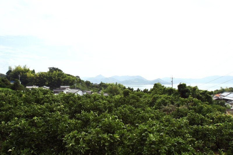 レモンの香りと瀬戸内海の潮風を全身で受けながら進むと、爽快感が増してくる。