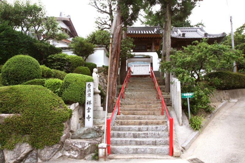 立ち寄りスポットとしておすすめなのが、「祥雲寺」の舟形ウバメガシ。