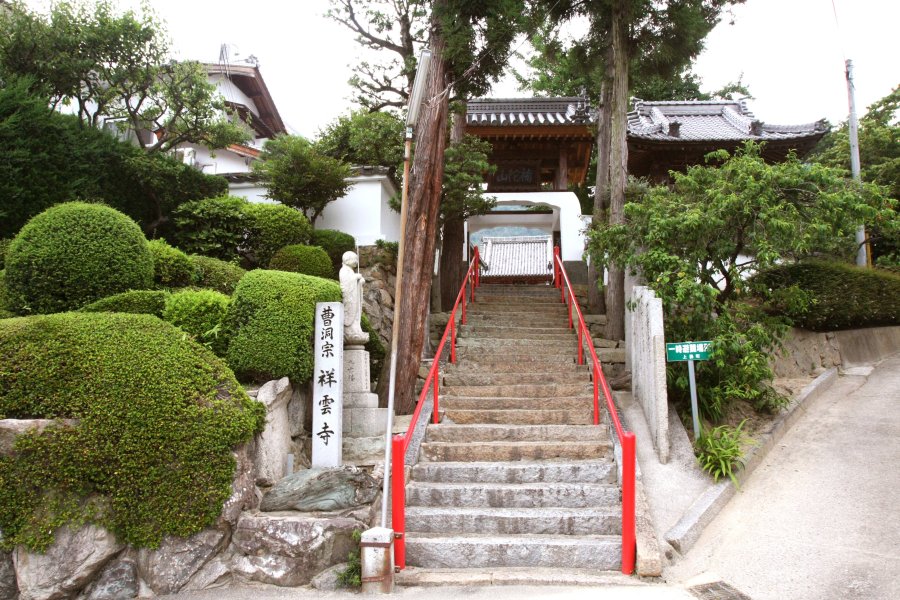 立ち寄りスポットとしておすすめなのが、「祥雲寺」の舟形ウバメガシ。