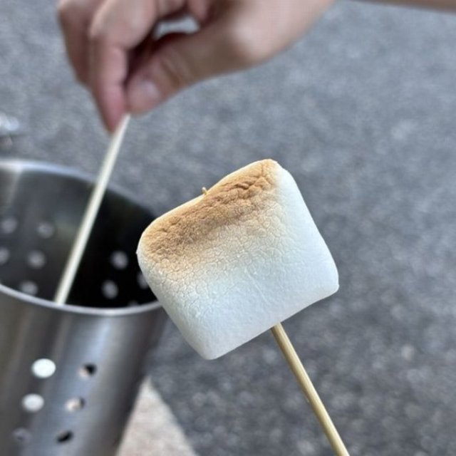 【2025】愛媛県総合科学博物館　クリスマス関連イベント「マシュマロを焼こう！」