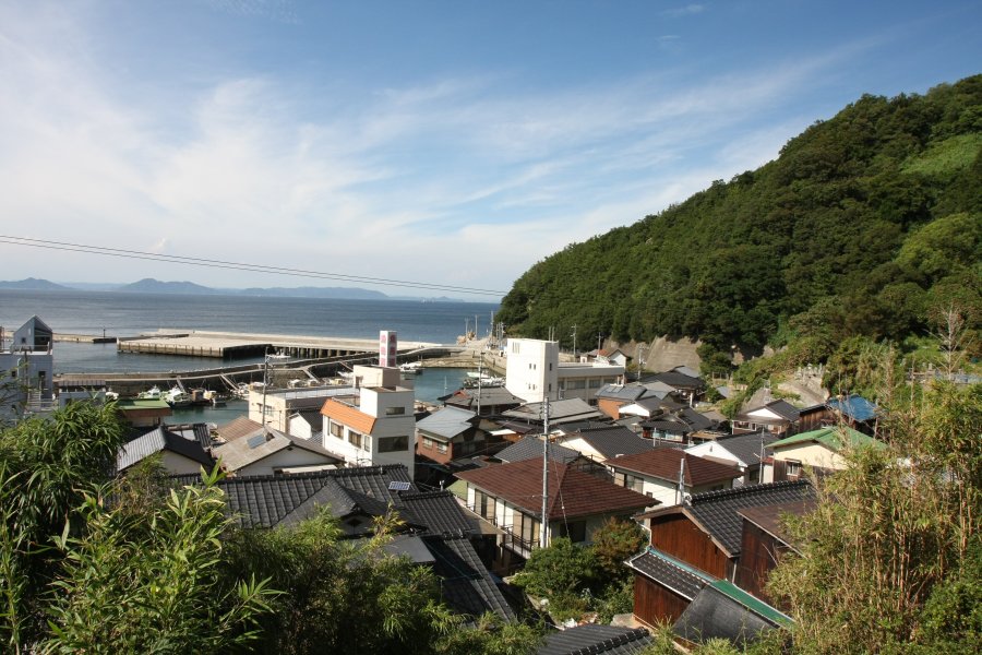 平地がほとんどない魚島は、集落の石段を上がるごとに眼下に魚島の港の景色が広がる。