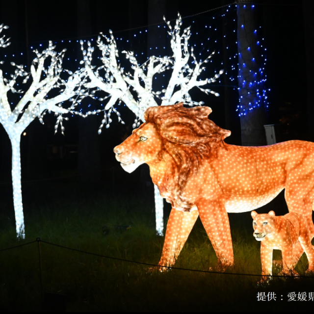 愛媛県立とべ動物園イルミネーション