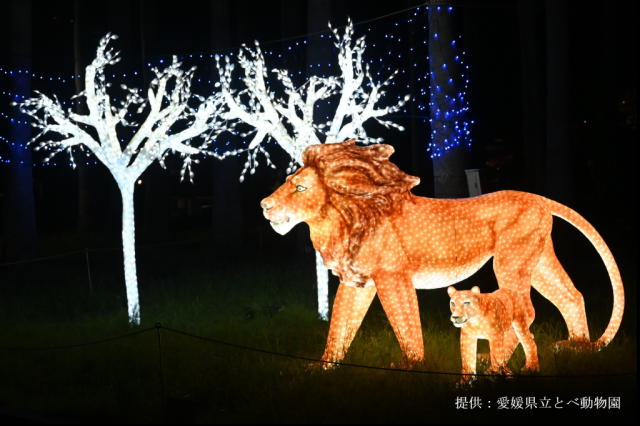 愛媛県立とべ動物園イルミネーション