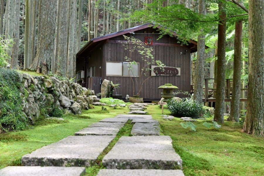 こけむしろ入口からギャラリー・喫茶に続く。左右には一面苔の庭園が広がる。