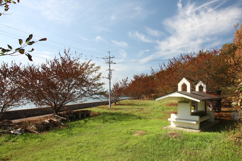 釣りやキャンプができ、春には桜も咲き乱れ、お花見も楽しめる。