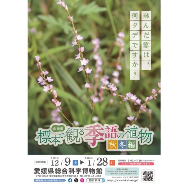 愛媛県総合科学博物館企画展「標本で観る季語の植物　春夏編」
