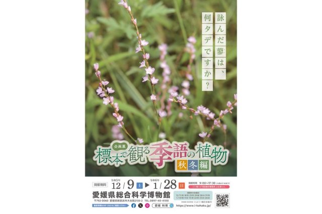 愛媛県総合科学博物館企画展「標本で観る季語の植物　秋冬編」