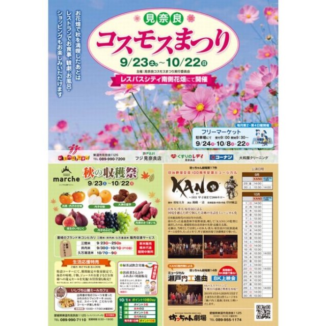 見奈良コスモスまつり