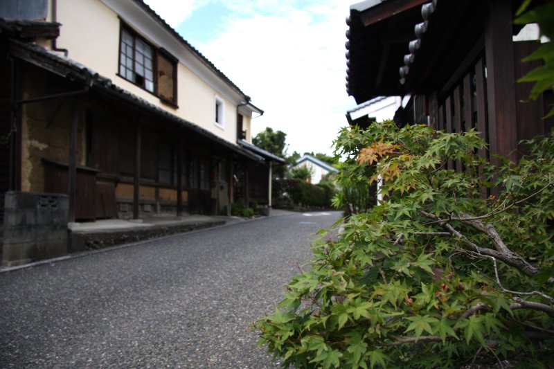 路地に面した道端には、季節を彩る草木が生けられ町並み情緒を静かに感じさせてくれる。