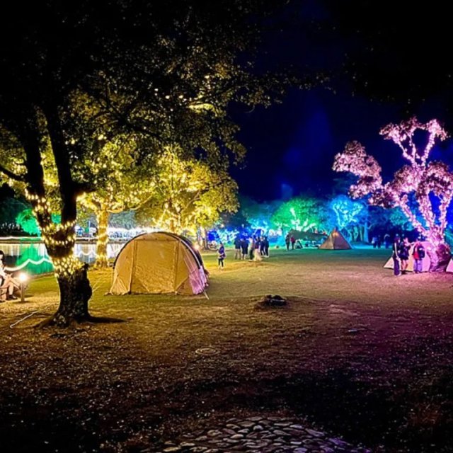 【2025】パークイルミネーションinすのかわ