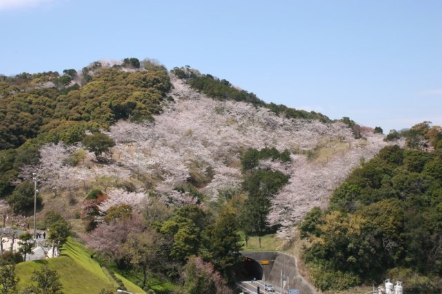 南レク城辺公園