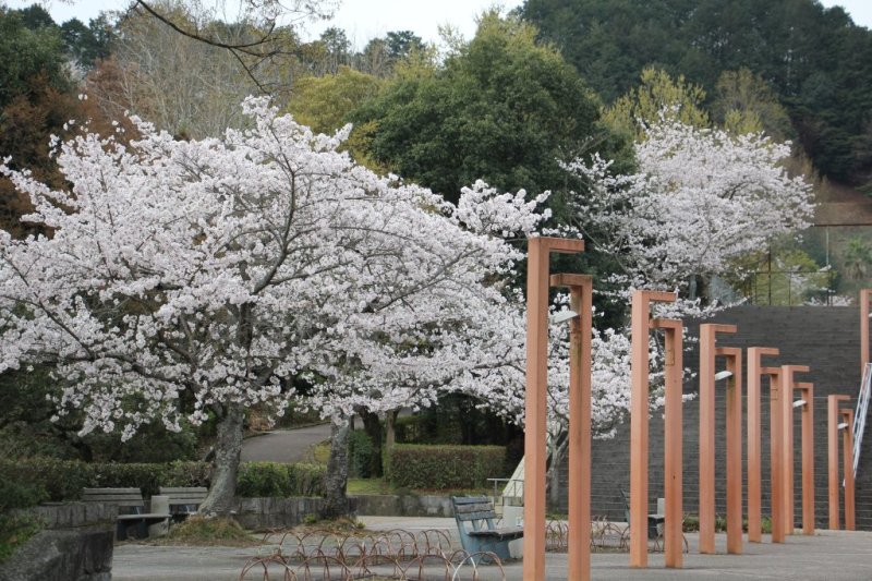 春には桜が咲き、お花見にもおすすめ。