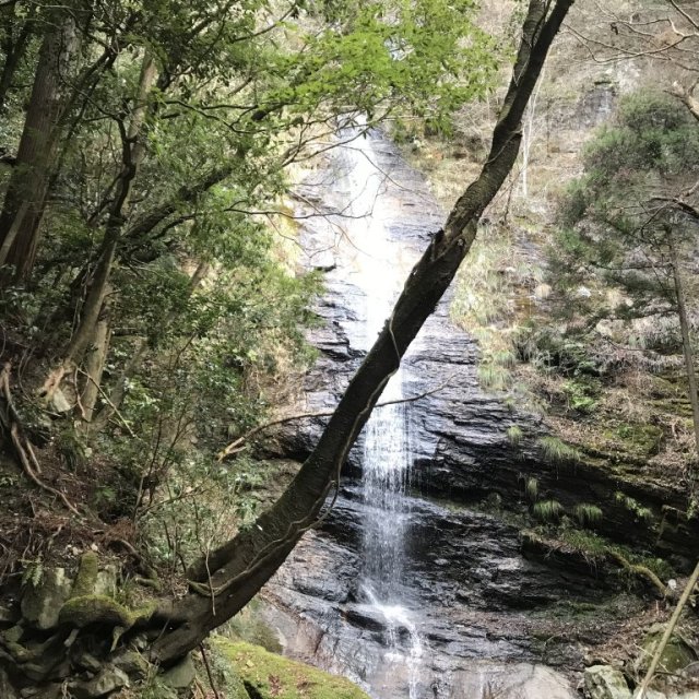 【西条市】おたるの滝