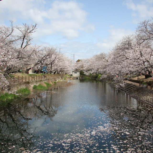 【西条市】ひょうたん池